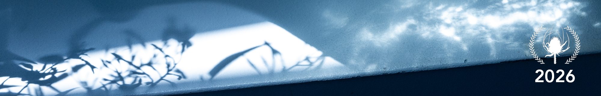 Certamen de cortometrajes creado con el objetivo de dinamizar y entretener a una zona marcada por la despoblación.